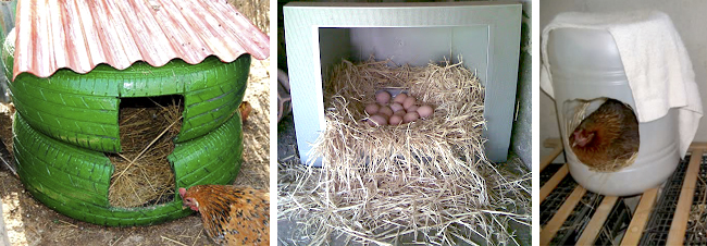 Cómo hacer ponederos para gallinas